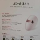 미니네테라피
