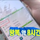 해미네집 | [주문진] 1월1일마다 복받으러 가는 복어회 맛집 해미네집 복어지리 포장 후기