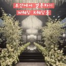 하모니 국제결혼상담 | 홀-3 부산 케이 웨딩홀 투어 최종 계약 후기 2026 하반기 결혼 W웨딩
