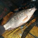 OK낚시터 이미지