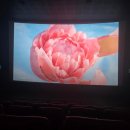 CGV 천호 1관 이미지