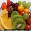 봄나들이 도시락 만들기 이미지