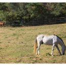 해이목장 이미지