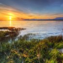 A song of  이미지