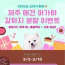 제주 애견 아가야 이미지