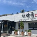 울산 동구 맛집 일산지 수제만두전골 전문점 반달곰 내돈내산 솔직 후기