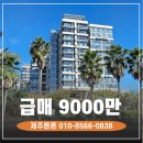 제주튼튼공인중개사사무소 이미지