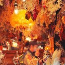 꽃cafe | 삿포로카페 추천 꽃으로 가득한 Shelter Cafe 내돈내산 후기