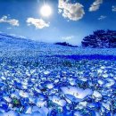 서정고등학교 이미지