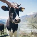 해길축산 이미지