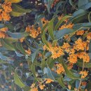 쓰레기 아닌척 이미지