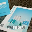 산들헤어살롱 | 촉촉머릿결 손상모 헤어밤 맘에 들어! 코쉬 스파클링7 헤어밤 부들 부들 촉촉