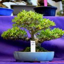 청수5로 이미지