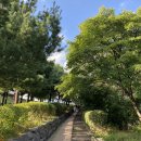 쌍성트레이딩 | 산린이의 등산 도전! 인왕산 등반 후기