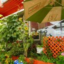 해송당구장 이미지