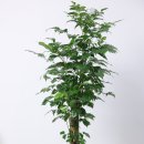 시립아름드리어린이집 이미지