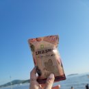 마드레펫 | 기호성 좋은 강아지 영양식 추천! 마드레펫 프리미엄 화식사료