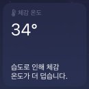 우듬지축산 | 주간일기 챌린지 [20] / 더운 여름 나기 (2022.08.01 ~ 2022.08.07)