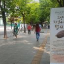 문화의거리3 이미지