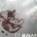 플러스덴치과의원 이미지