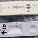 자가 키트 양성 ㅣ 신속 항원 음성 ㅣ 코로나 l 자가 키트 불량 ㅣ 자가 키트 후 2시간