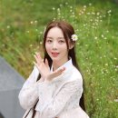 케이업