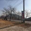 송림황토참숯굴찜질방 이미지