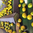 제주남원농협사업소 이미지