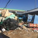 동읍사무소 이미지