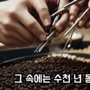 97퍼센트