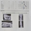 미소돌봄동물병원 이미지