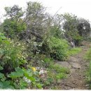 하모리 지석묘 이미지