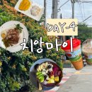 8월 우기 치앙마이 [올드타운,쿤캐주스바,플레이웍스,차트라뮤,더쉐프,원님만,기념품,카페추천]
