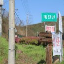 부야1