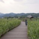 남도삼백리길 1코스 순천만 갈대길 - 대한민국 생태 수도길 이미지