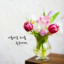 녹동항횟집 이미지