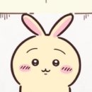 나이스데이