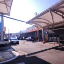 구구옻닭 이미지