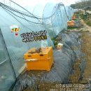 요셉농장 이미지