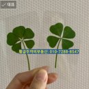 다산법무사사무소 이미지