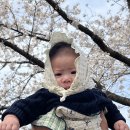 삼촌하우스 이미지