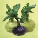 씨웰빙하우스 이미지