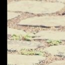 덕천한의원 이미지