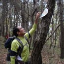 김병태 사무소 이미지