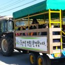 안동백조마을 네이버블로그