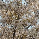 금정산성마을 이미지