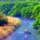 우포의 숲속 이미지