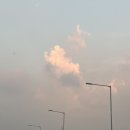 트로페오비토리아 이미지