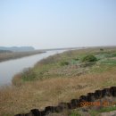 화정천1 이미지