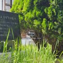 서탄초금각분교장 이미지